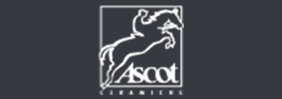 3D SHOWROOM Décoration Carrelage Ascot 441